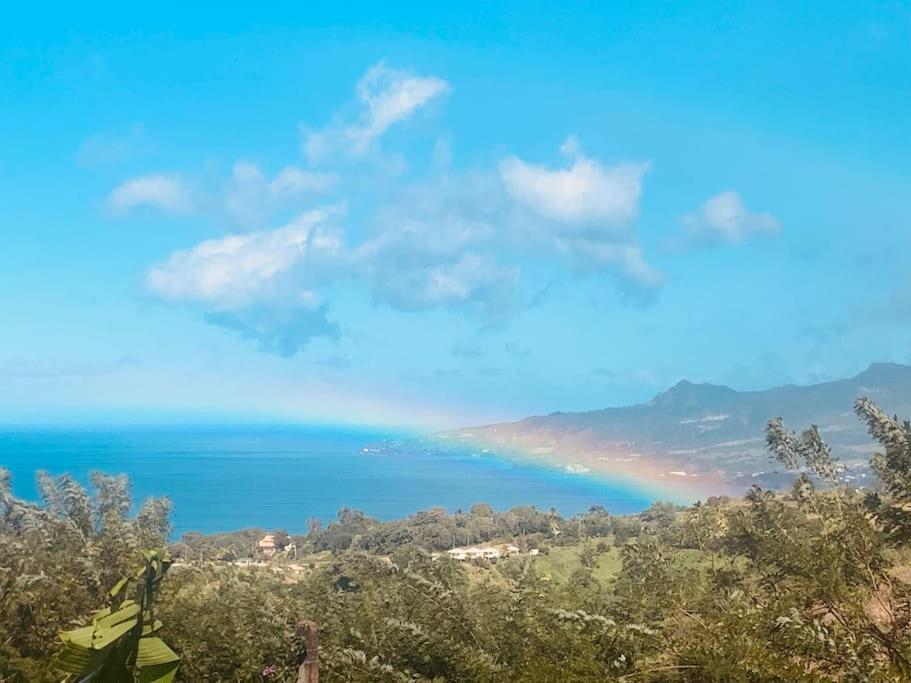 Bungalow Avec Vue Dans Lieu Calme Le Carbet Zewnętrze zdjęcie