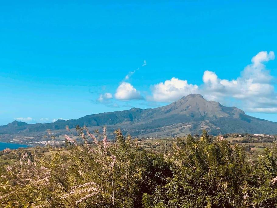 Bungalow Avec Vue Dans Lieu Calme Le Carbet Zewnętrze zdjęcie